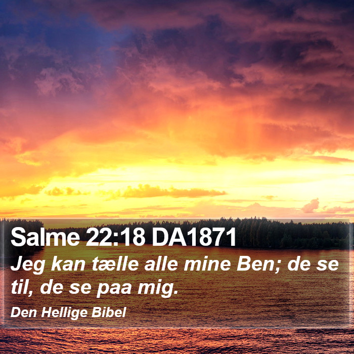 Salme 22:18 DA1871 Bible Study