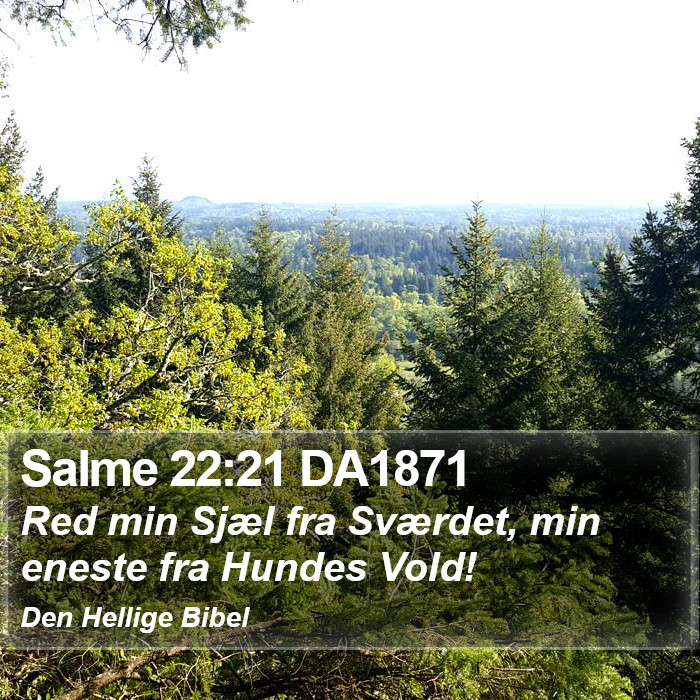 Salme 22:21 DA1871 Bible Study