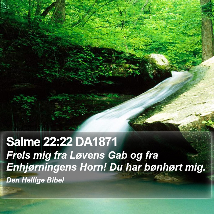 Salme 22:22 DA1871 Bible Study