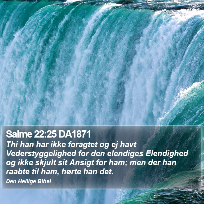 Salme 22:25 DA1871 Bible Study