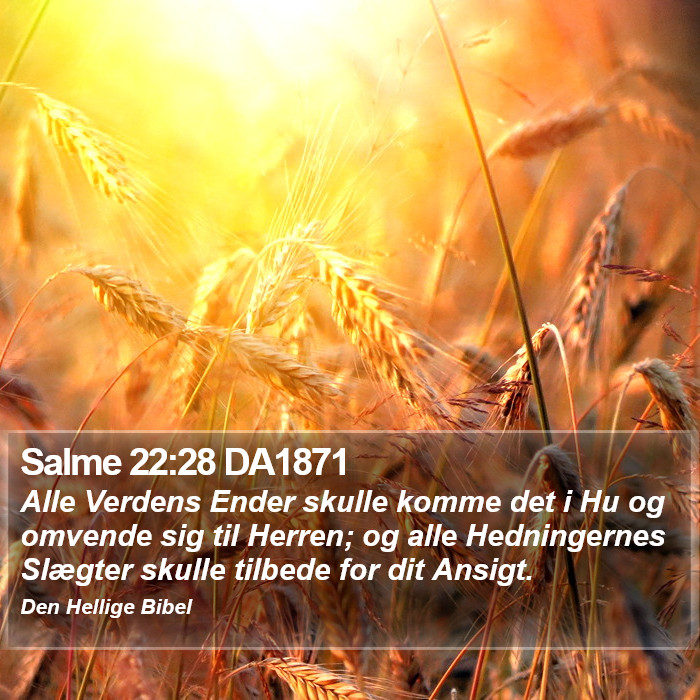 Salme 22:28 DA1871 Bible Study