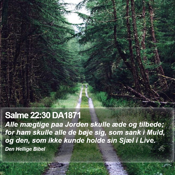 Salme 22:30 DA1871 Bible Study