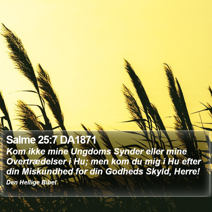 Salme 25:7 DA1871 Bible Study