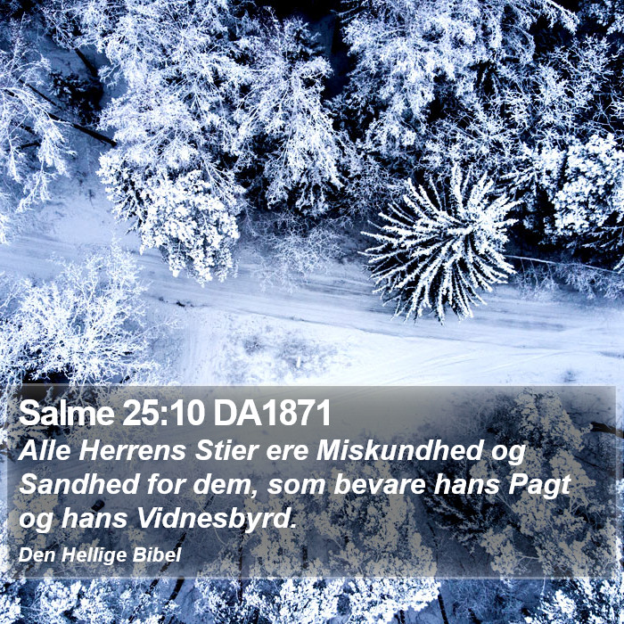 Salme 25:10 DA1871 Bible Study