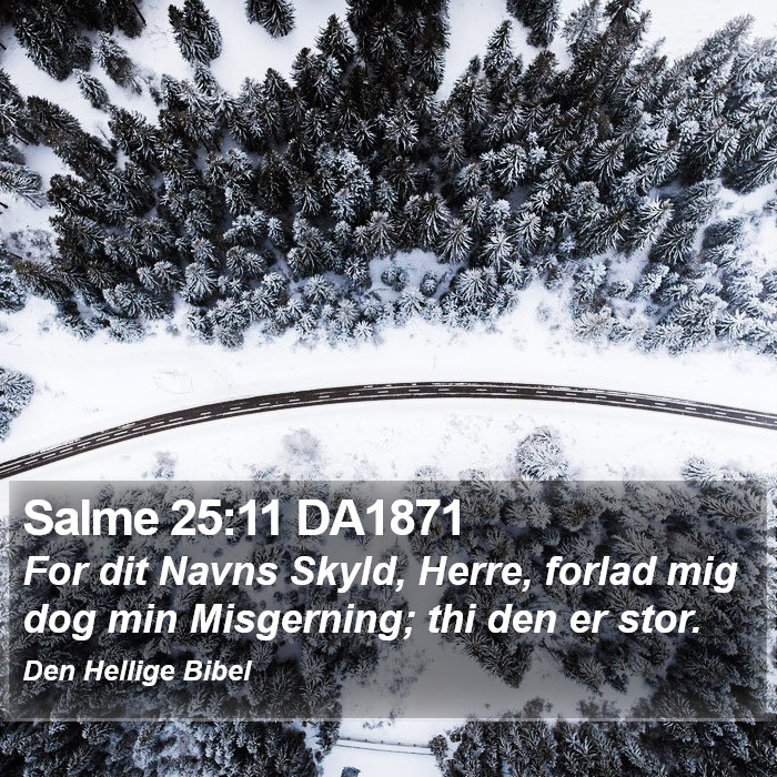 Salme 25:11 DA1871 Bible Study