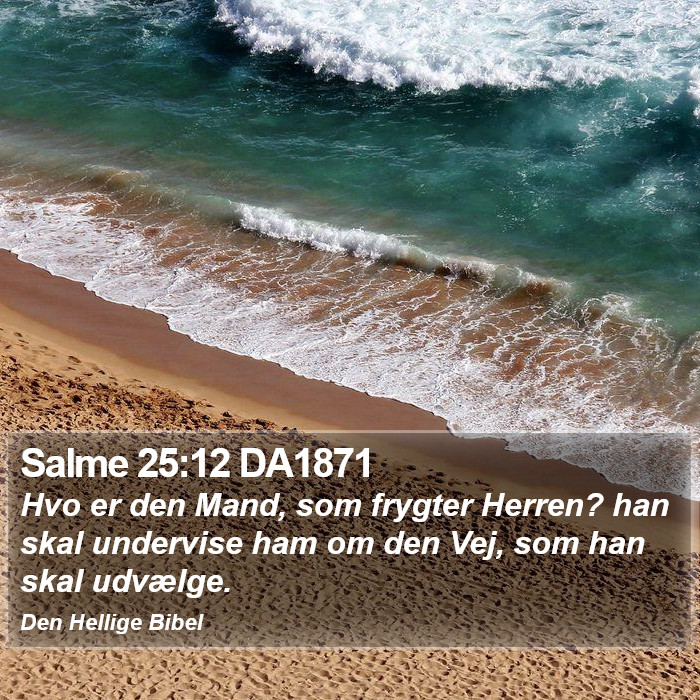 Salme 25:12 DA1871 Bible Study