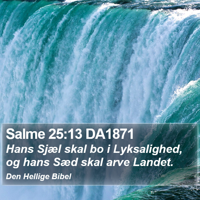 Salme 25:13 DA1871 Bible Study