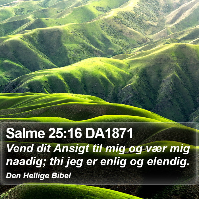 Salme 25:16 DA1871 Bible Study