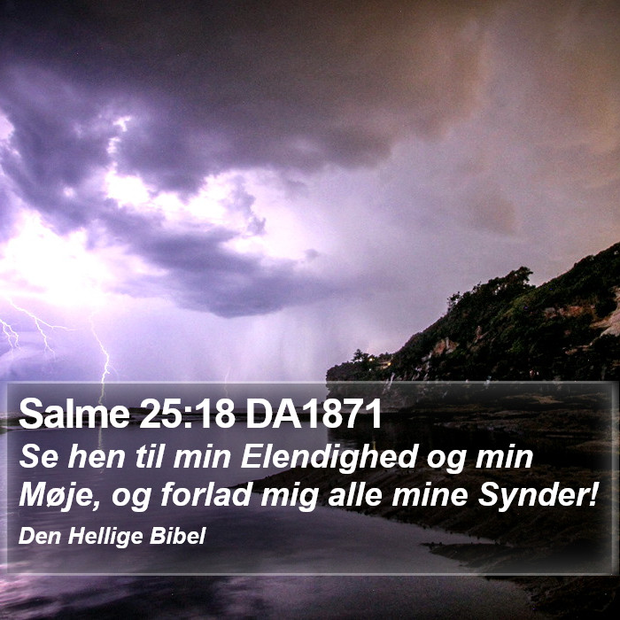 Salme 25:18 DA1871 Bible Study