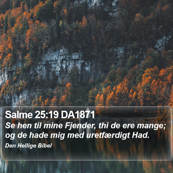 Salme 25:19 DA1871 Bible Study