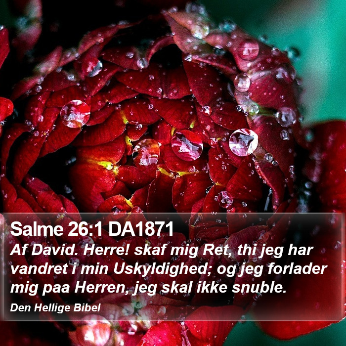 Salme 26:1 DA1871 Bible Study