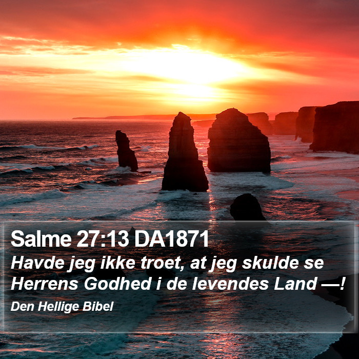 Salme 27:13 DA1871 Bible Study