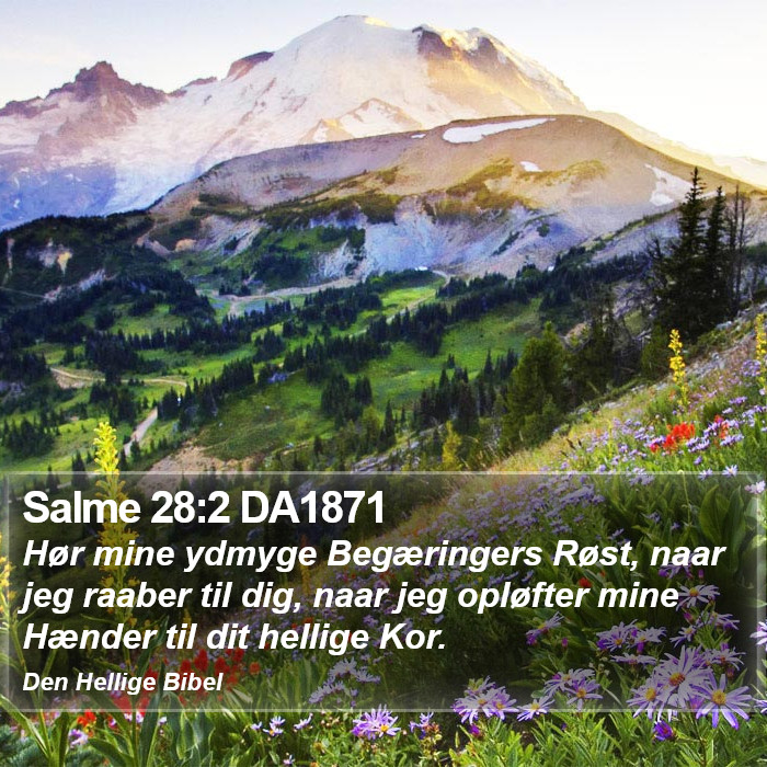 Salme 28:2 DA1871 Bible Study