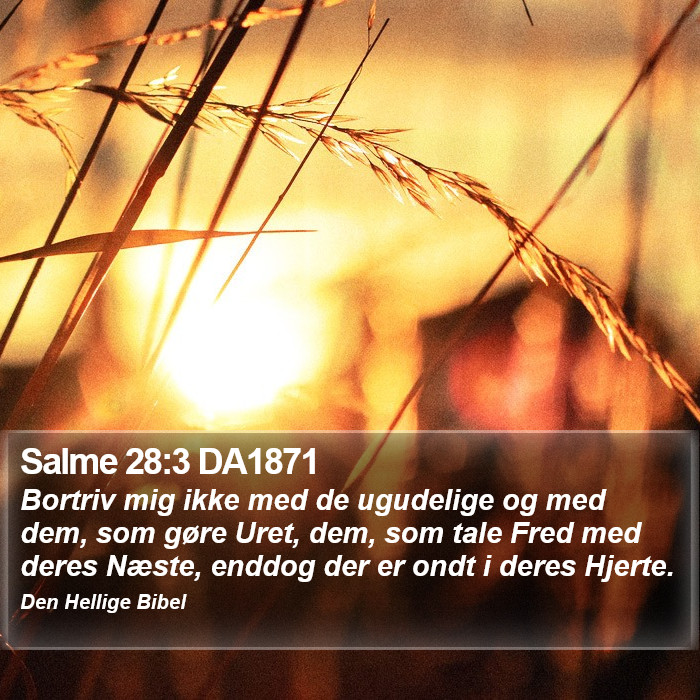 Salme 28:3 DA1871 Bible Study