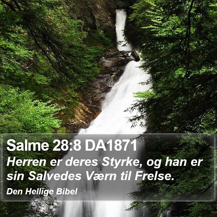 Salme 28:8 DA1871 Bible Study