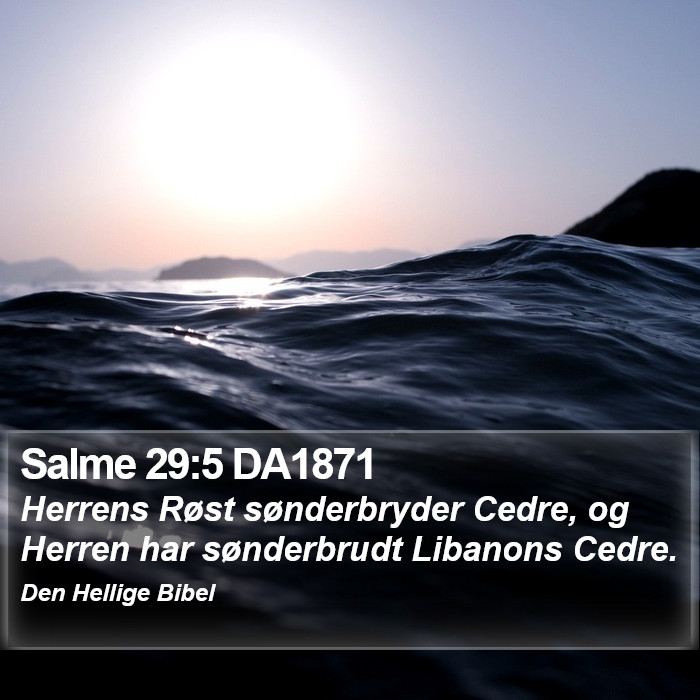 Salme 29:5 DA1871 Bible Study