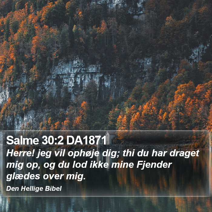 Salme 30:2 DA1871 Bible Study