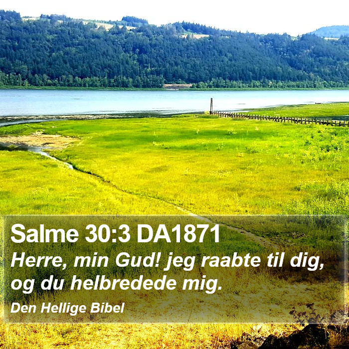 Salme 30:3 DA1871 Bible Study