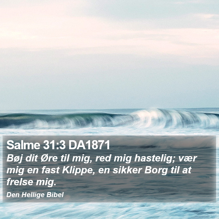 Salme 31:3 DA1871 Bible Study