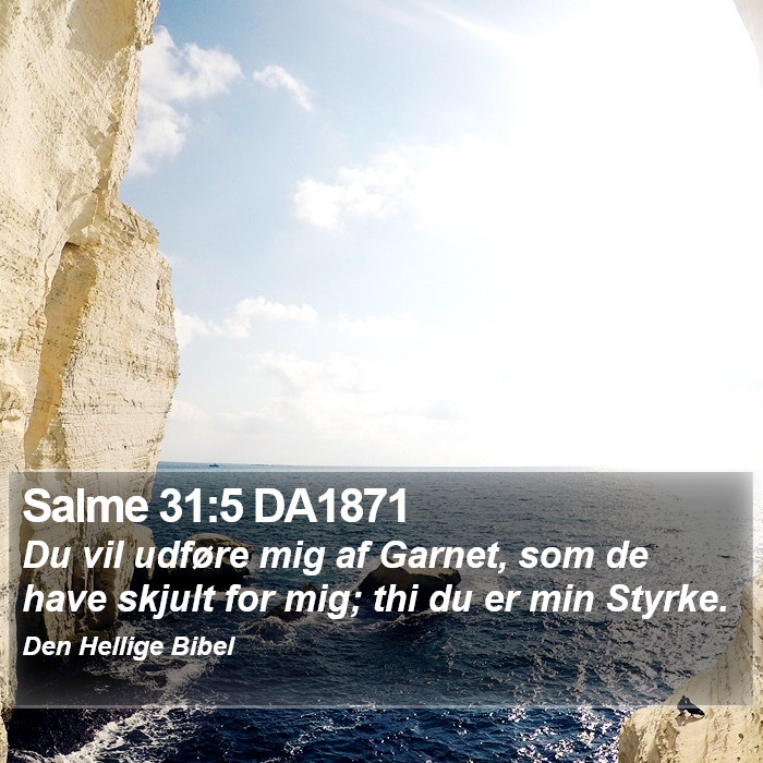 Salme 31:5 DA1871 Bible Study