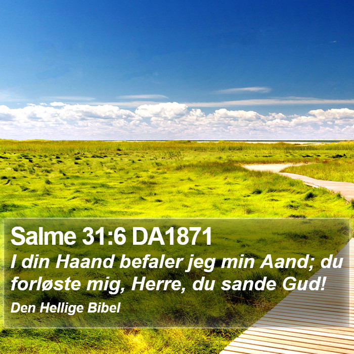 Salme 31:6 DA1871 Bible Study