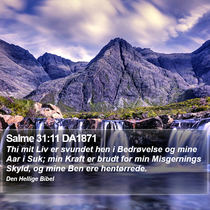 Salme 31:11 DA1871 Bible Study