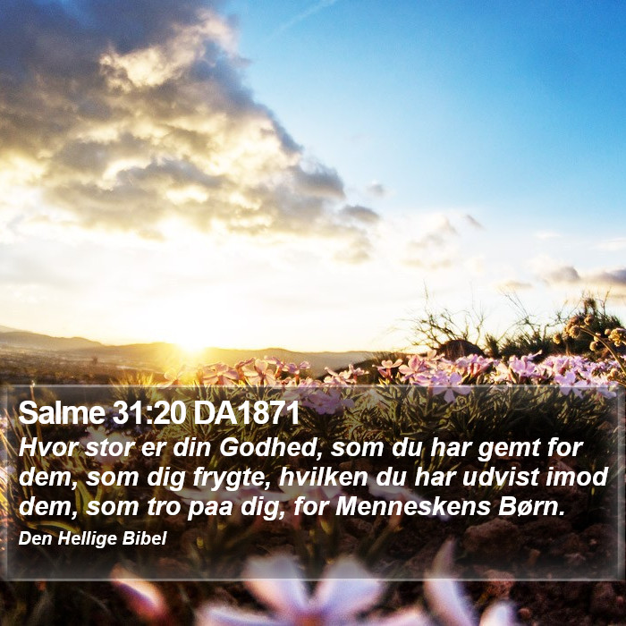 Salme 31:20 DA1871 Bible Study