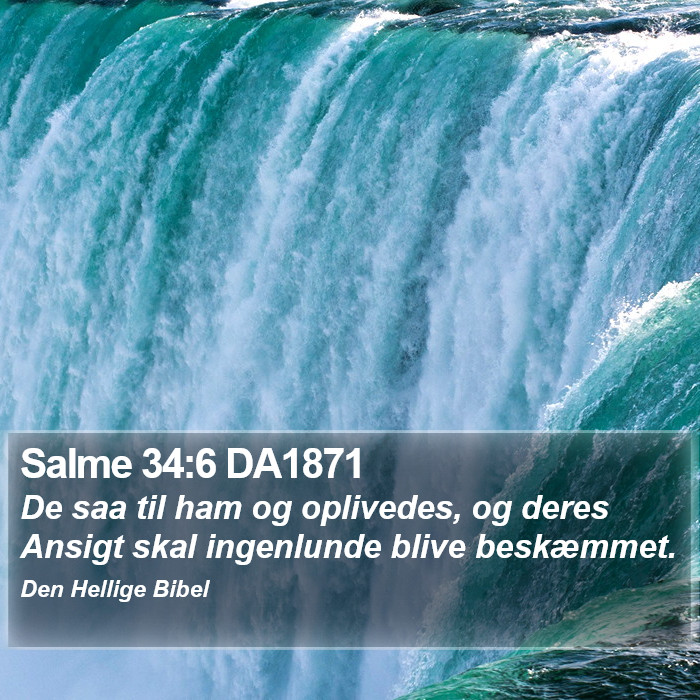 Salme 34:6 DA1871 Bible Study