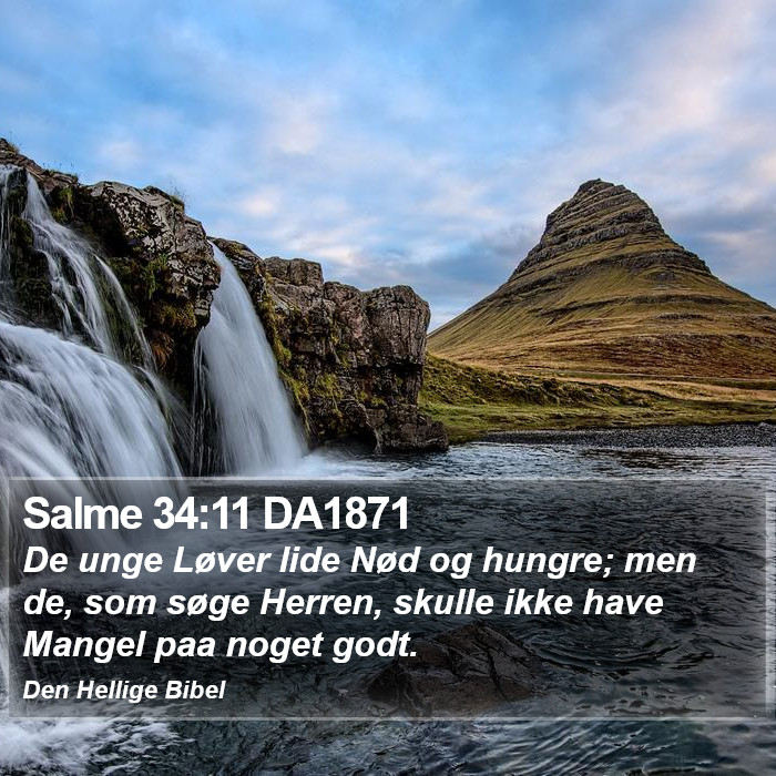 Salme 34:11 DA1871 Bible Study