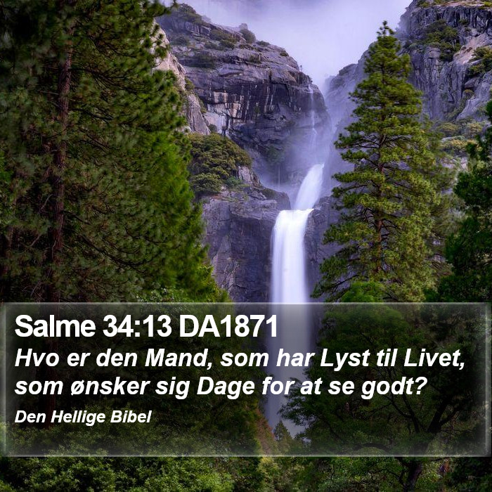 Salme 34:13 DA1871 Bible Study