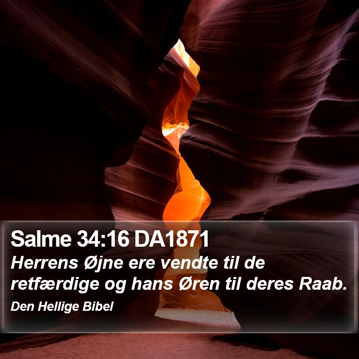 Salme 34:16 DA1871 Bible Study