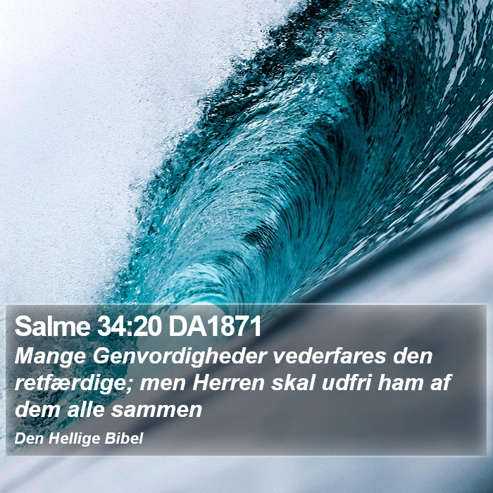 Salme 34:20 DA1871 Bible Study