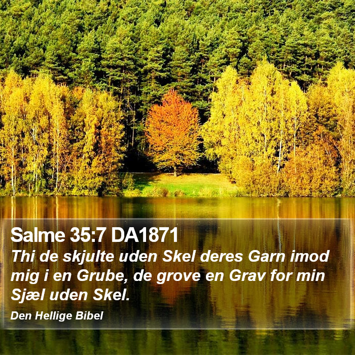 Salme 35:7 DA1871 Bible Study