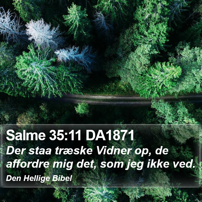 Salme 35:11 DA1871 Bible Study