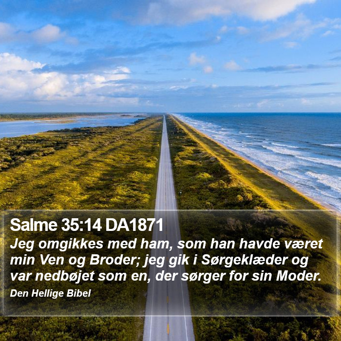 Salme 35:14 DA1871 Bible Study