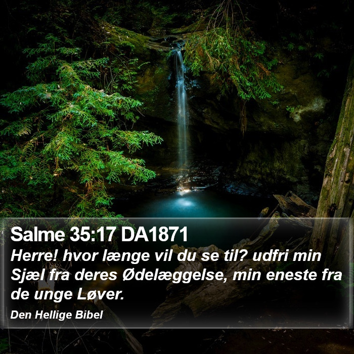 Salme 35:17 DA1871 Bible Study