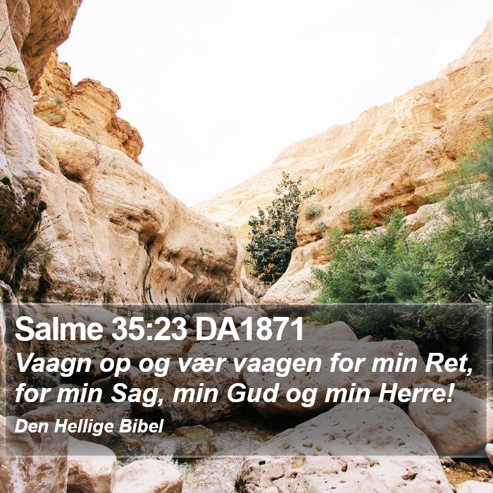 Salme 35:23 DA1871 Bible Study