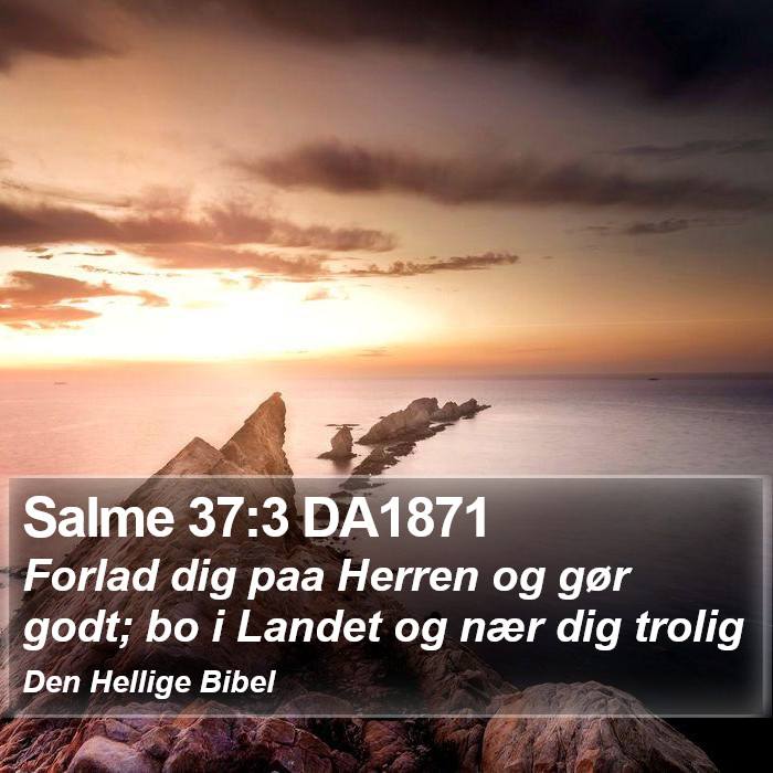 Salme 37:3 DA1871 Bible Study