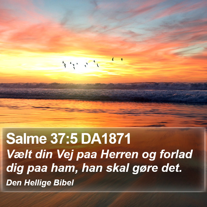 Salme 37:5 DA1871 Bible Study