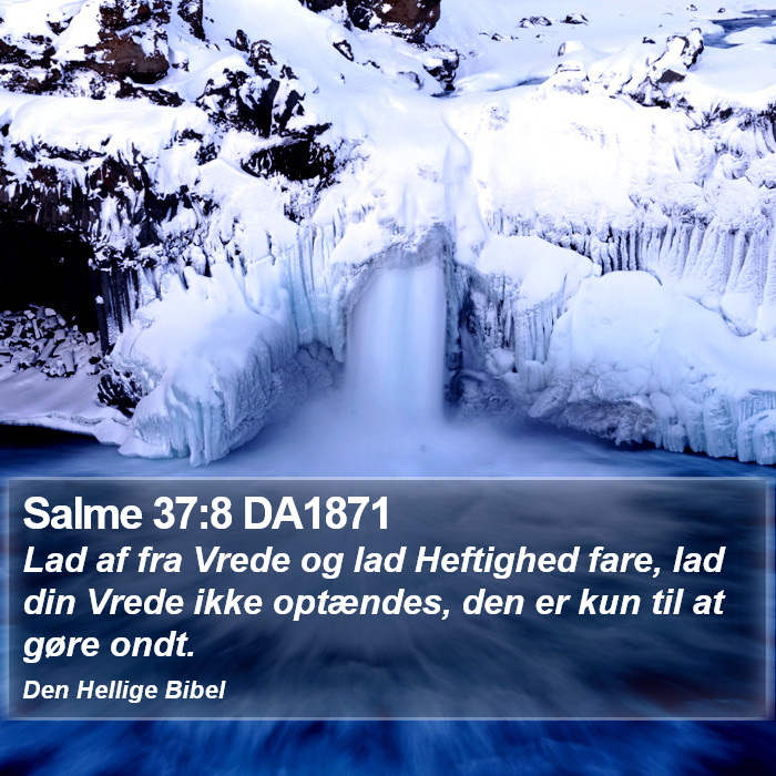 Salme 37:8 DA1871 Bible Study