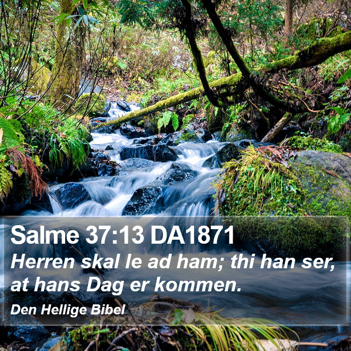 Salme 37:13 DA1871 Bible Study