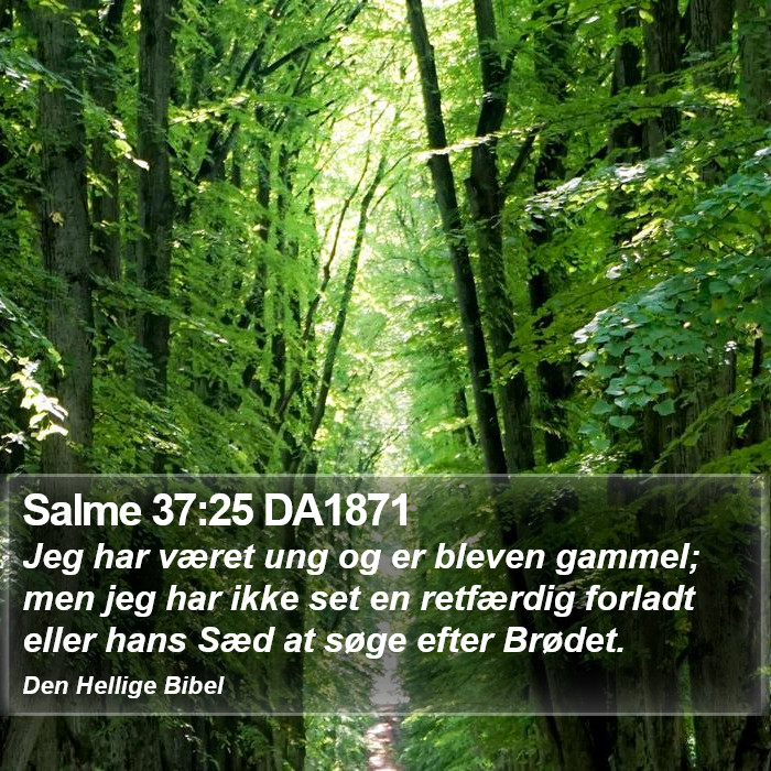 Salme 37:25 DA1871 Bible Study