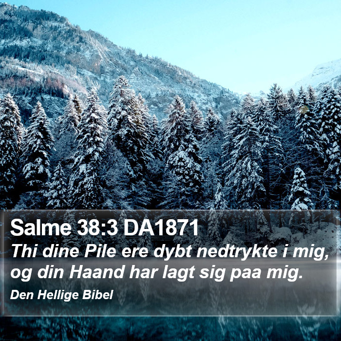 Salme 38:3 DA1871 Bible Study