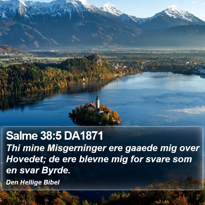 Salme 38:5 DA1871 Bible Study