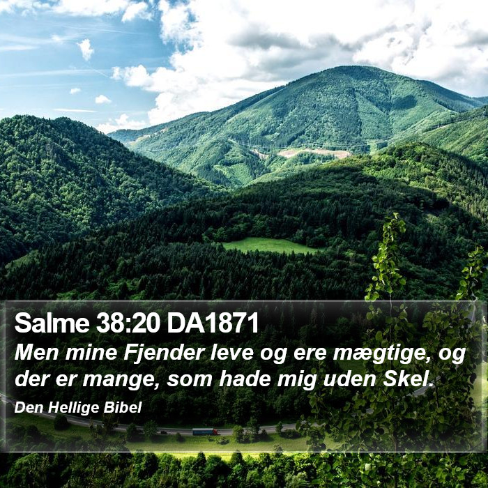 Salme 38:20 DA1871 Bible Study