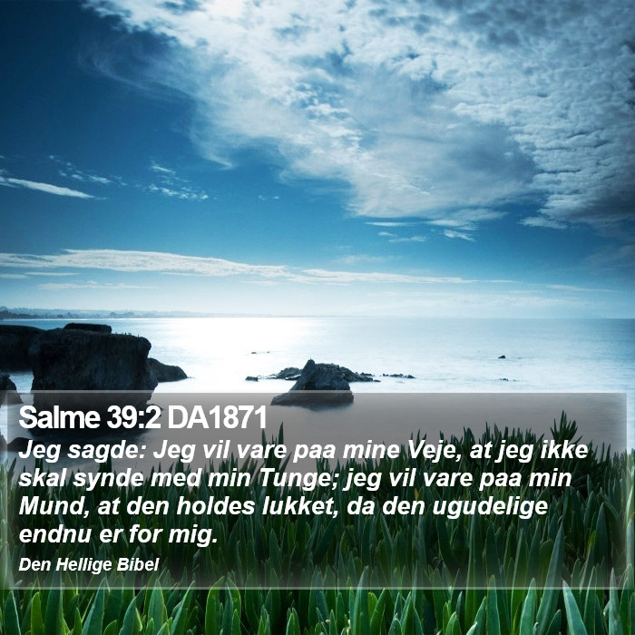 Salme 39:2 DA1871 Bible Study