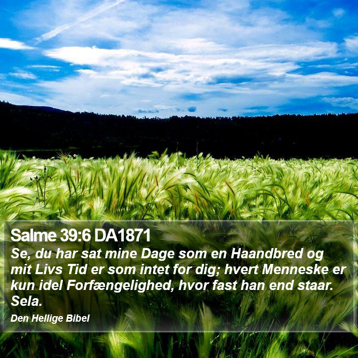 Salme 39:6 DA1871 Bible Study