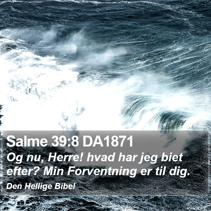 Salme 39:8 DA1871 Bible Study