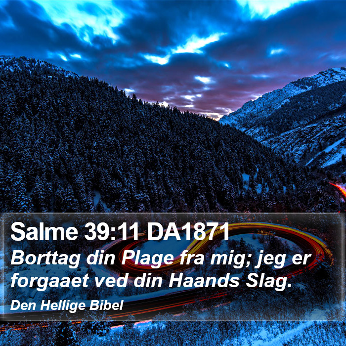 Salme 39:11 DA1871 Bible Study