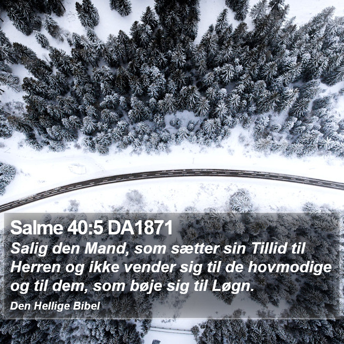 Salme 40:5 DA1871 Bible Study